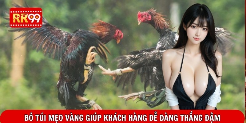 Bỏ túi mẹo vàng giúp khách hàng dễ dàng thắng đậm