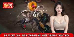 Đá Gà Cựa Dao - Đỉnh Cao Đam Mê, Nhận Thưởng Thoả Thích