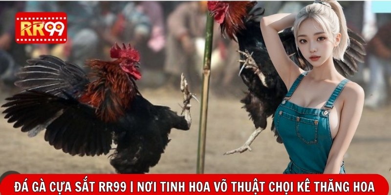 Đá Gà Cựa Sắt RR99 | Nơi Tinh Hoa Võ Thuật Chọi Kê Thăng Hoa
